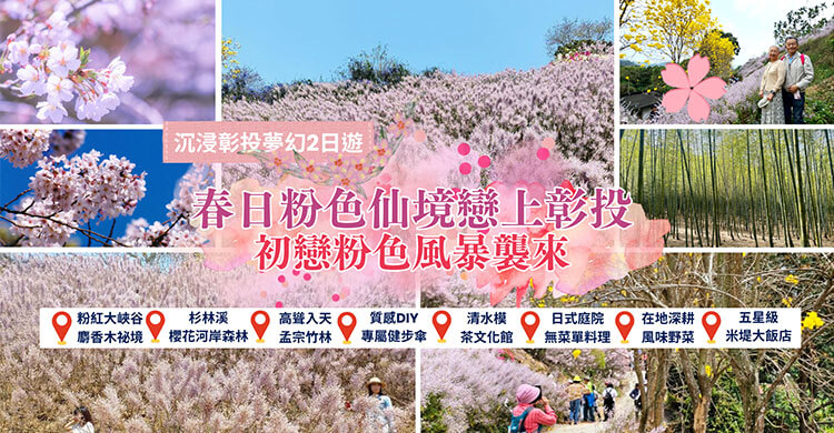 春日粉色仙境戀上彰投2日遊，初戀粉色風暴襲來，一次看兩種仙氣粉嫩花海！