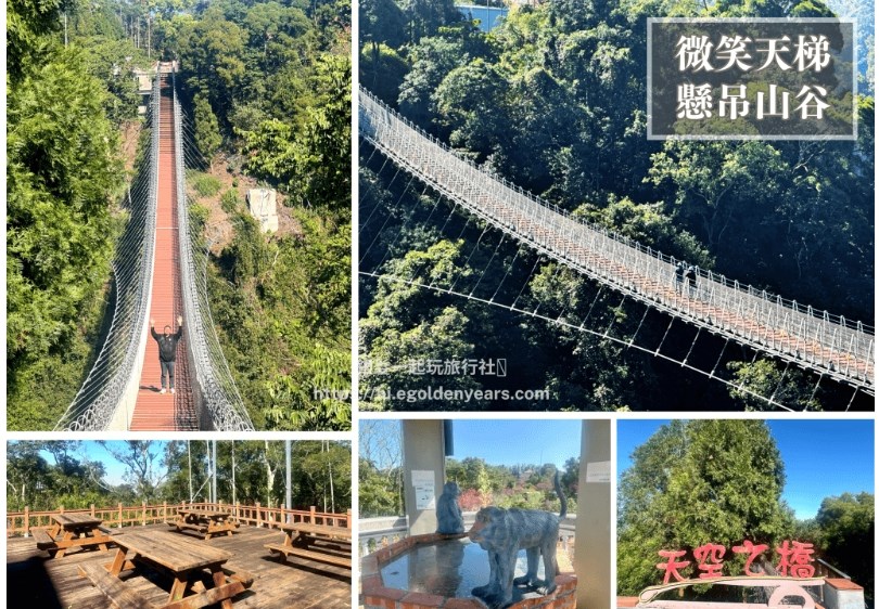 紫韻花開禪風慢旅，瑞里紫藤花季彰嘉2日遊！