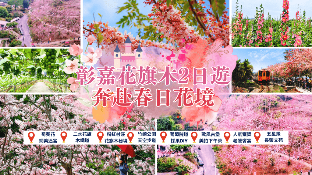 彰嘉花旗木，奔赴春日花境2日遊森境天空步道！