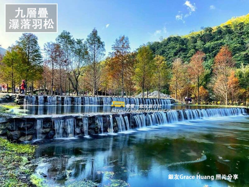 精靈系落羽松，宜蘭2日遊！限定賞精靈系落羽松三層坪農塘