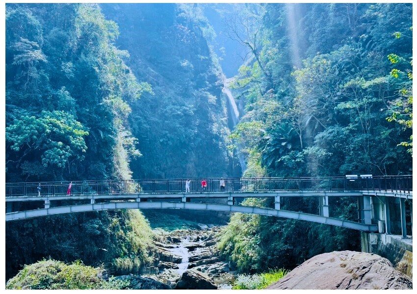 《迷人山中花精靈中投2日》新社紫色國度薰衣草森林/季節摘星星採果/竹山第一美瀑/遠離塵囂花之旅！