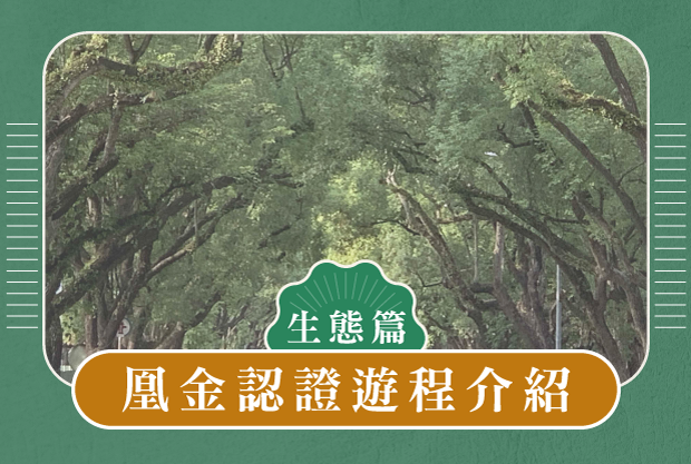 凰金認證遊程介紹 生態篇-杉林溪樂齡眷村懷舊之旅